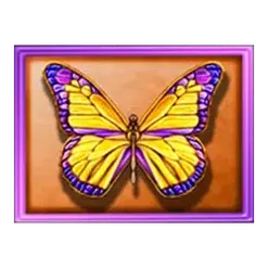 icon 4