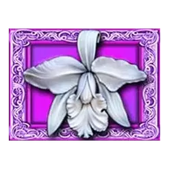 icon 10