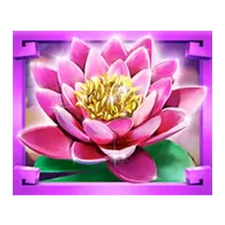 icon 5
