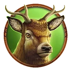 icon 2