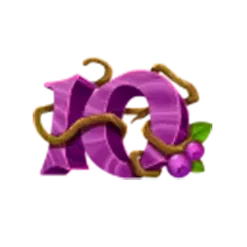 icon 11