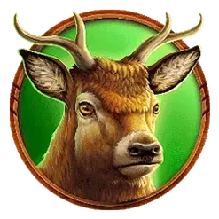 icon 3