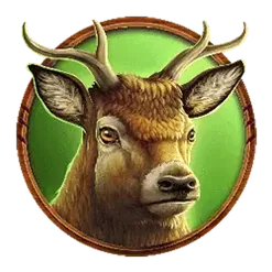 icon 4