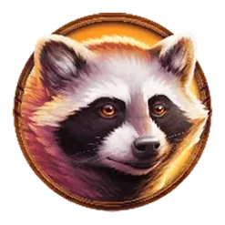icon 5