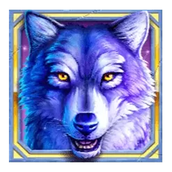 icon 4