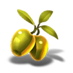 icon 5