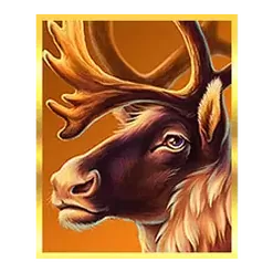 icon 2