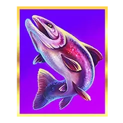 icon 5