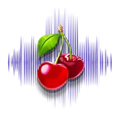 icon 9