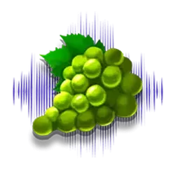 icon 7