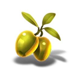 icon 5