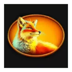 icon 4