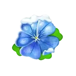 icon 6