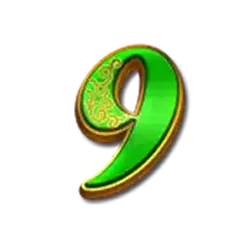 icon 13