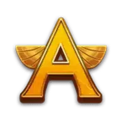 icon 5