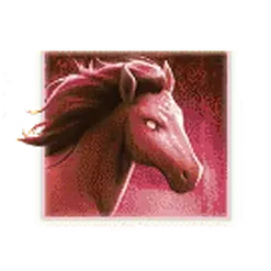 icon 4