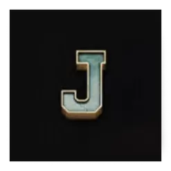 icon 9