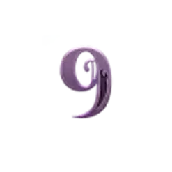 icon 13