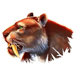 icon 4