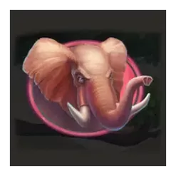 icon 3