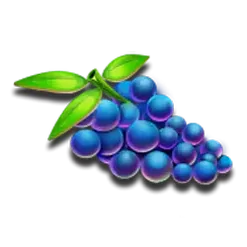 icon 11
