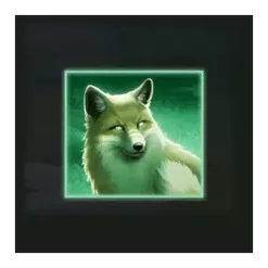 icon 5