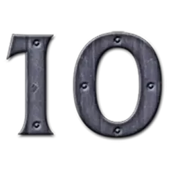 icon 10