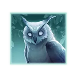 icon 4