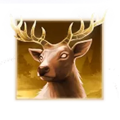 icon 1