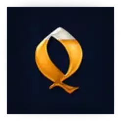 icon 7
