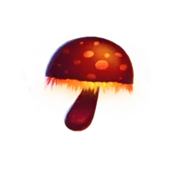icon 6