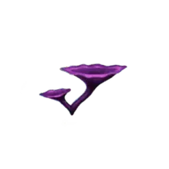 icon 11