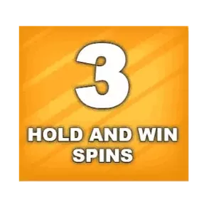 Bonus Buy Hold and Win Feature