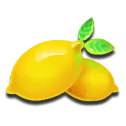 icon 6