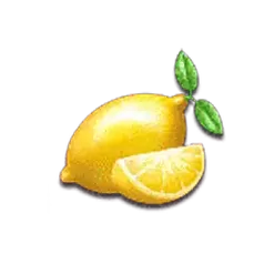 icon 5