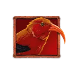 icon 2