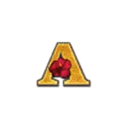 icon 5