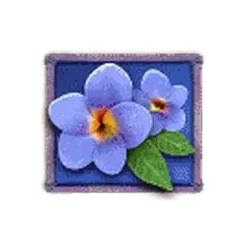 icon 4