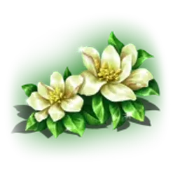icon 4