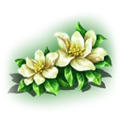 icon 2