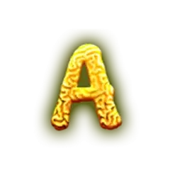 icon 5