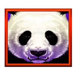icon 11