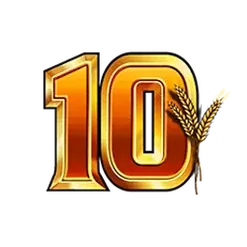 icon 14