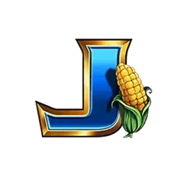 icon 13