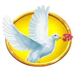 icon 3