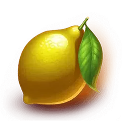 icon 6