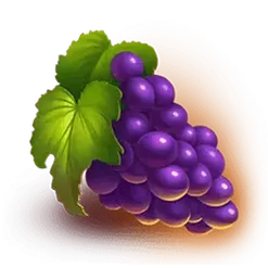 icon 5
