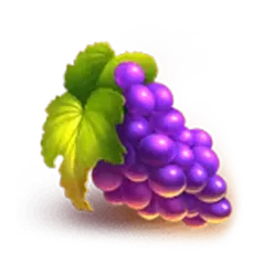 icon 4