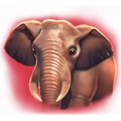 icon 2