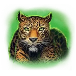 icon 4